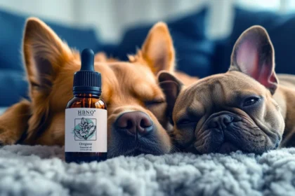 Benefits of Proper Wound Care for Animal Bites