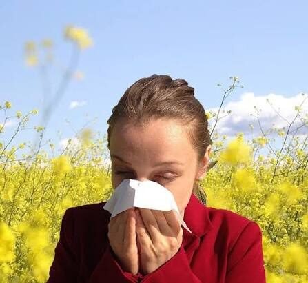 Common Allergens That Trigger Nasal Allergies